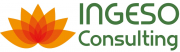 INGESO Consulting