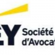 Avocat expérimenté en Droit social Paris F/H
